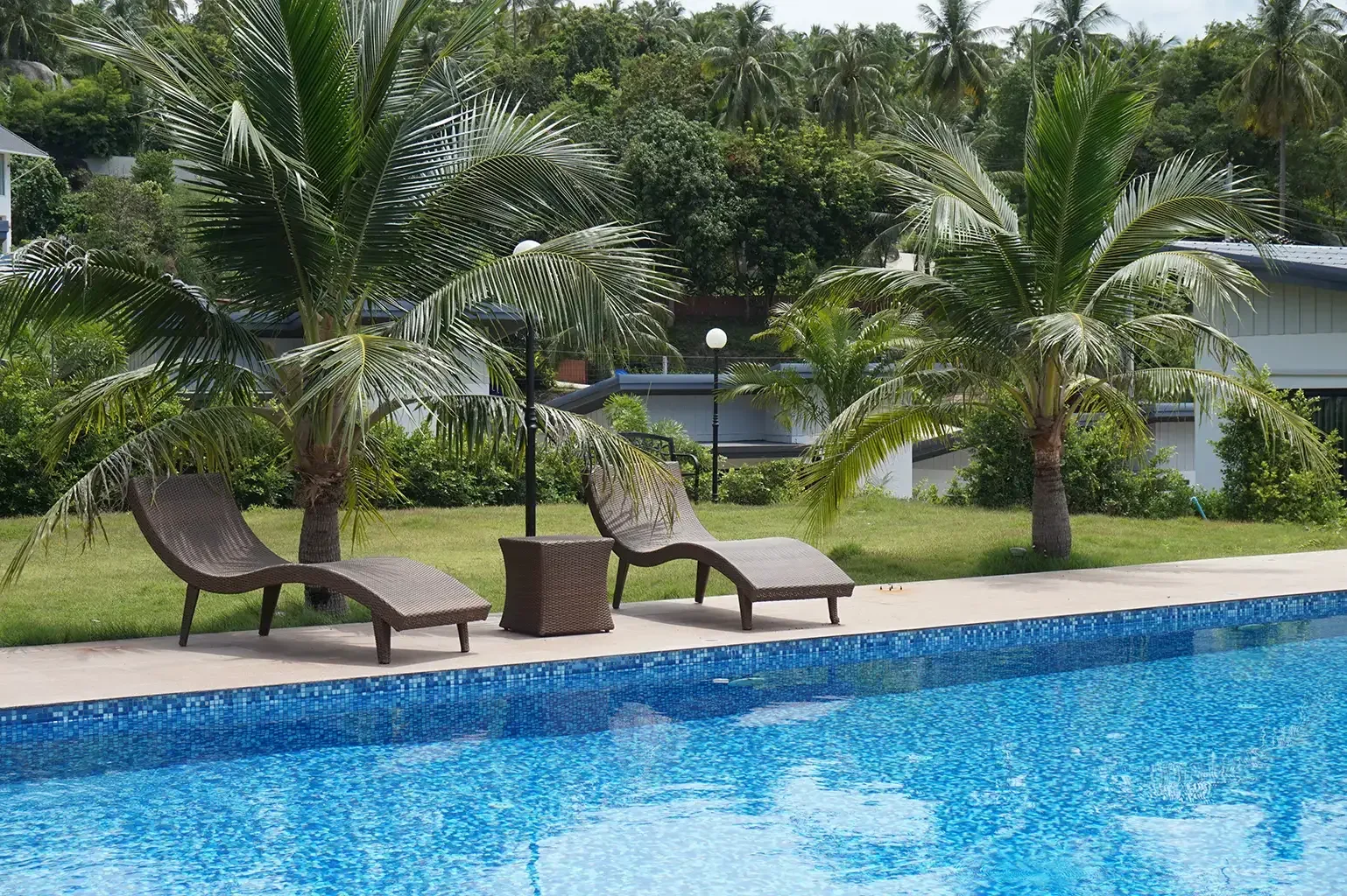 Poolside loungers beneath palm trees at Naiwok Hills